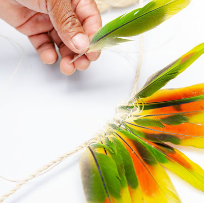 Bild von Schöpfer*innen